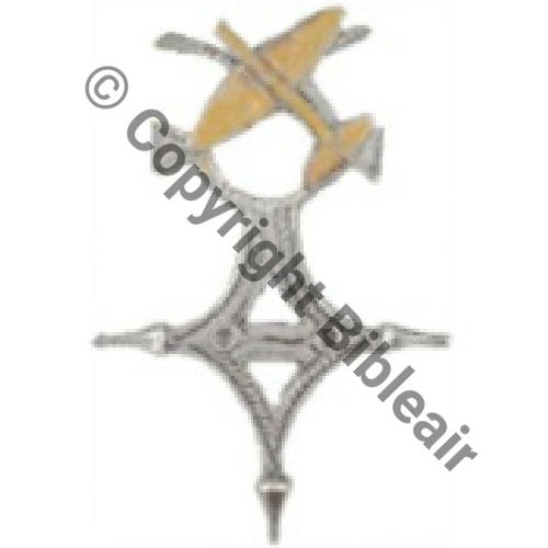 591 GAO.591 OUARGLA Type5  Fab locale Argent Avion laiton 61mm 420Eur Src.LAVOCAT
